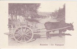 974 - ILE DE LA REUNION - ST DENIS -1960 - UN TRANSPORT CHARRETTE  BOEUF - REPRODUCTION CPA - Saint Denis