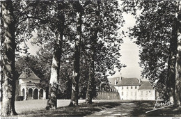 BRANGUES AVENUE DU CHATEAU PAUL CLAUDEL CPSM 9X14 TBE - Brangues