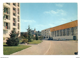 ROUSSILLON LE GYMNASE 1986 CPSM GM TBE - Roussillon