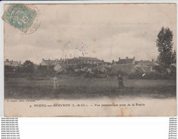 NEUNG SUR BEUVRON VUE PANORAMIQUE PRISE DE LA PRAIRIE 1905 TBE - Neung Sur Beuvron