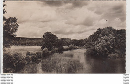 CHEVILLON VUE PRISE DU PONT DE MARNE CPSM 9X14 TBE - Chevillon