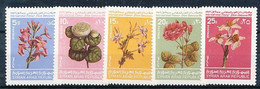 TIMBRE  ZEGEL STAMP  THEMATIQUE FLORE FLEURS  BLOEMEN FLOWERS  SYRIE SYRIA  XX - Andere