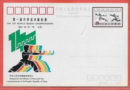 SPORT CHINE ENTIER POSTAL WUSHU DE 1991 NEUF - Ohne Zuordnung