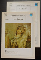 2 Fiches De Lecture Auteurs Du 16 Siècle Du Bellay Montaigne - Collections
