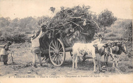 56-LARMOR-BADEN- DANS LA CAMPAGNE- CHARGEMENT DE BRANCHES DE SAPINS - Sonstige & Ohne Zuordnung