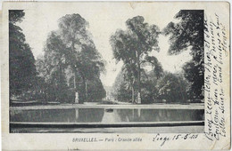 Bruxelles   - Parc   :   Grande Allée   -   1910   -   Vieux Dieu   -   (zie Scan) - Bossen, Parken, Tuinen