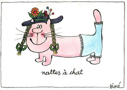 SINE / SERIE CHAT / NATTES A CHAT - Sine