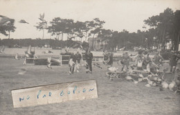 LES SABLES D'OLONNE  - Lâcher De Gallinacés ?? ( Carte Photo ) - Sables D'Olonne