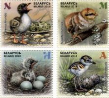 Weissrussland / Belarus / Biélorussie /BIAŁORUŚ 2018 MI.1229-32**,MA.1234-37,YVERT...  Fauna. Birds. Chicks (M/S) MNH ** - Belarus