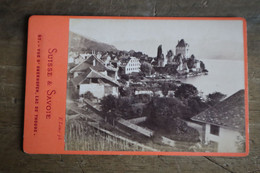 Cdv Suisse Swiss Oberhofen  Lac De Thoune  Suisse Et Savoie - Old (before 1900)