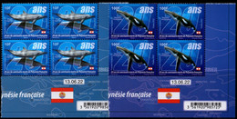 Polynésie Française 2022 - 20 Ans Du Sanctuaire Marin, Baleine Et Dauphin - Bloque De 4 Coins Datés Neufs // Mnh - Unused Stamps