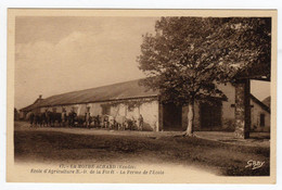 CPSM La Mothe Achard 85 Vendée Ecole Agriculture Notre Dame De La Forêt Troupeau Vaches Devant La Ferme éd Artaud Gaby - La Mothe Achard