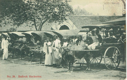 Sri Lanka Bullock Hackeries 1906 - Sri Lanka (Ceilán)