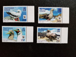 Ascension 2016 WWF Bird Red Footed Booby Oiseaux Vogel Galinha 4v Mnh - Ascension (Ile De L')