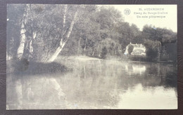 AUDERGHEM étang Et Hôtel Restaurant Du Rouge Cloître . Carte Postale Vers 1920-1930 - Auderghem - Oudergem