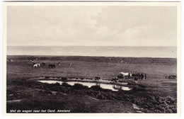 Ameland Oerd - Met De Wagen Naar Het Oerd - Ameland