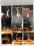 Cirque - Lot De 9 Photos Acrobates DOBITCH Sofia Bulgarie - Circus - Personalidades Famosas
