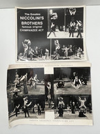 Cirque - Lot De 2 Photos The Greates NICCOLINI'S BROTHERS Dresseurs Chimpanzee Act - Circus - Personalidades Famosas
