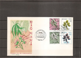 RioMuni - Fleurs ( FDC De 1967 à Voir) - Rio Muni