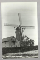 ***  WEELDE ***  -  MOLEN " Arbeid Adelt " -  Zie / Voir Scan - Ravels