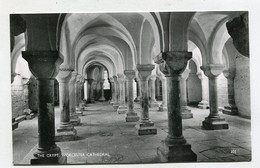 AK 081865 ENGLAND - Worcester Cathedral - The Crypt - Worcester