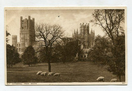 AK 081876 ENGLAND - Ely Cathedral From South - Ely