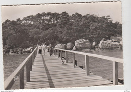 ILE DE NOIRMOUTIER LA JETEE CPSM GM TBE - Noirmoutier