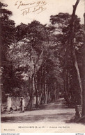 BEAUCHAMPS AVENUE DES SAPINS 1916 TBE - Beauchamp