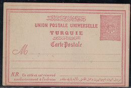 TURQUIE - ENTIER POSTAL NEUF DE 1892 - 20 PARA - NEUF. - Cartas & Documentos