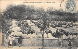 71-SAINT-CHRISTOPHE-EN-BRIONNAIS-LE CHAMP DE FOIRE - Altri & Non Classificati