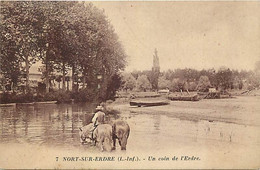 - Loire Atlantique -ref-C242- Nort Sur Erdre - Un Coin De L Erdre - Chevaux à L Abreuvoir Et Arrière Plan Barques - - Nort Sur Erdre