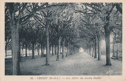 CHOLET. - Les Allées Du Jardin Public. Cliché RARE - Cholet