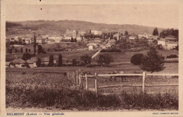 Dep 42 , Cpa  BELMONT , Vue Générale  (16430) - Belmont De La Loire