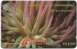 St. Vincent - C&W (GPT) - Giant Sea Anemone - 142CSVC (Dashed  Ø), 1997, 15.000ex, Used - St. Vincent & Die Grenadinen