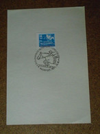 D191036  Hungary  1971   Commemorative Handstamp  -    Horse Cheval -   Horse Jumping Competition - Andere & Zonder Classificatie