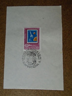 D191045   Hungary  Commemorative Handstamp  - Mushrooms- Champignon Fungi  1984 - Other & Unclassified