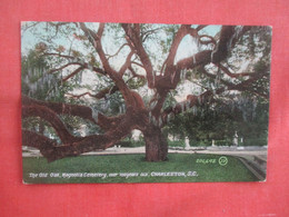 Old Oak Magnolia Cemetery  Charleston  South Carolina      Ref 5792 - Charleston
