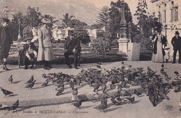 MONACO(PIGEON) - Cafés & Restaurants