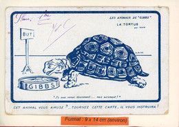 PUBLICITÉ GIBBS - TORTUE - ILLUSTRATEUR JACQUES NAM - (12991) - Turtles
