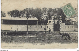 32  - RISCLE - Les Arenes ( Gers ) ( Obliteration Manuelle Beaumont Du Gatinais Meurthe Et Moselle 12.08.1907 ) - Riscle