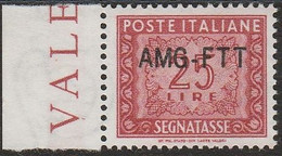 195 Trieste A  Segnatasse - 1954 L. 25 Rosso Bruno Con Ottima Centratura N. 25A. Cert. E. Diena. Cat. € 675,00. SPL - Strafport