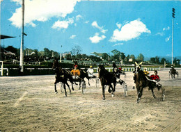 Cagnes Sur Mer * Une Course De Trot Attelé Sur L'hippodrome De La Côte D'azur * Hippisme Hippique - Cagnes-sur-Mer