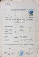 A19522 - HIGH SCHOOL CERTIFICATE 1918 PETROSANI ROMANIA MAGYAR KIRALYI ALLAMI FOGIMNAZIUM PETROZSENY 30 FILLER 1914 - Diplômes & Bulletins Scolaires