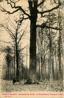 Nouvion * La Forêt * Le Domaine De Guise * Le Gros Chêne François * Arbre - Nouvion