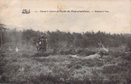 CPA Chasse - Chasse à Courre En Forêt De Fontainebleau - Relancé à Vue - Hunting