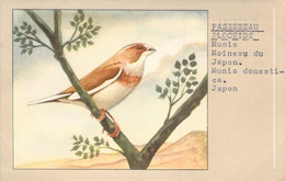 CPA OISEAU - Illustration D'un Moineau Du Japon - Passereau Ploceide - P SLUIS N°47 4 - Oiseaux