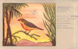 CPA OISEAU - Illustration D'un BENGALI A VENTRE ORANGE - Passereau Ploceide - P SLUIS N°62 6 - Pájaros