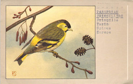 CPA OISEAU - Illustration D'un TARIN - Passereau FRINGILLIDE - P SLUIS N°105 9 - Oiseaux