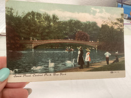 New York City Central Park Swan Pond - Central Park