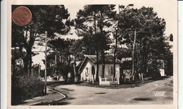 44 -  Carte Postale Semi Moderne De  THARON PLAGE  Avenue Dans Les Pins - Tharon-Plage